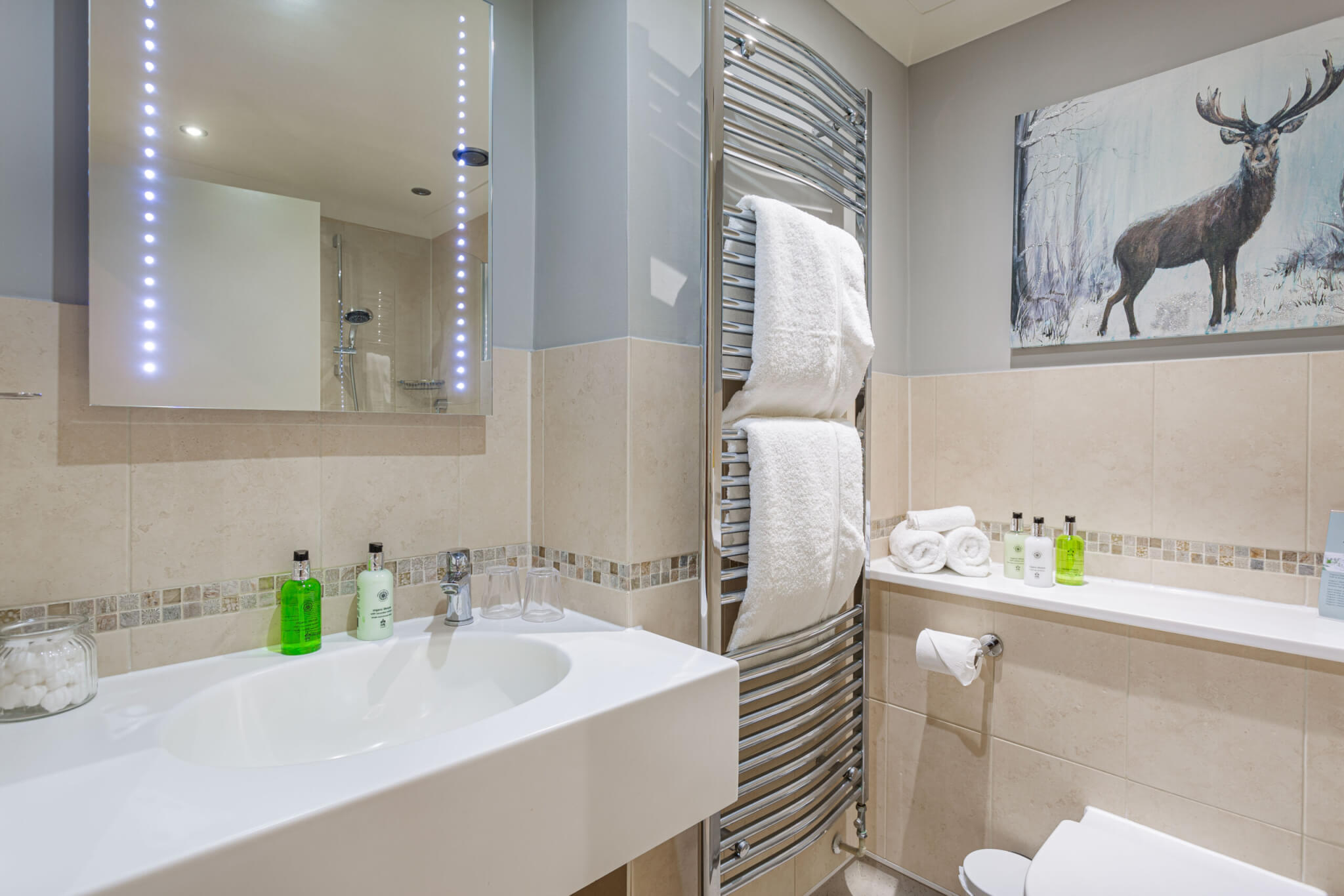Pheasant Hotel Classic Double Room Bathroom scaled